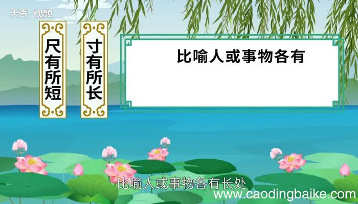 尺有所短下一句是什么尺有所短的前一句