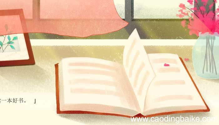 什么二三事作文提纲 以什么二三事为题作文提纲