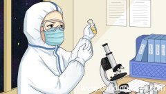 为什么用豌豆做遗传实验容易取得成功 为啥用豌豆做遗传实验容