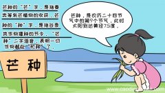 芒种手抄报内容 芒种手抄报内容画法