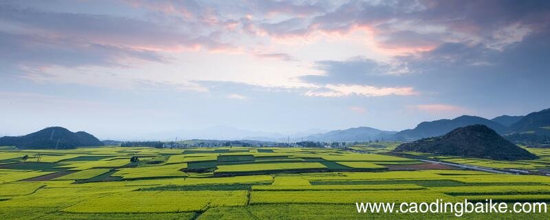 4万平方米等于多少亩 4万平方米是多少亩