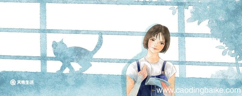 青春无悔的意思是什么意思 青春无悔怎样解释