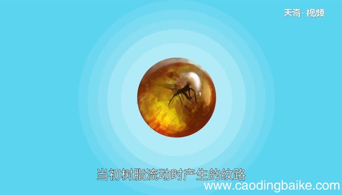 松脂球是怎样变成化石的松脂球变成化石的过程