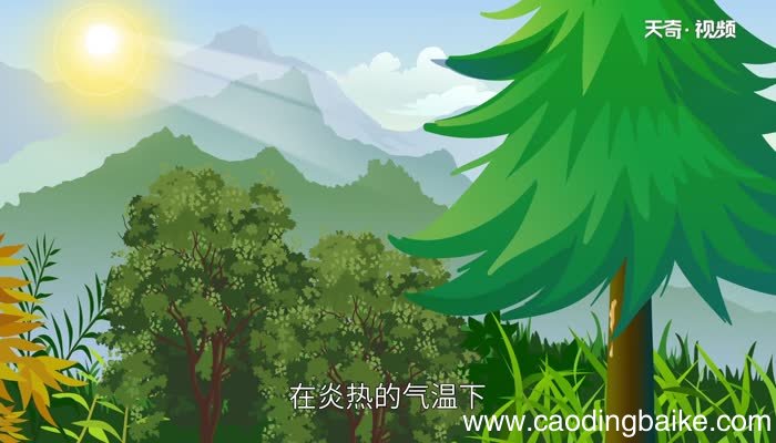 松脂球是怎样变成化石的松脂球变成化石的过程