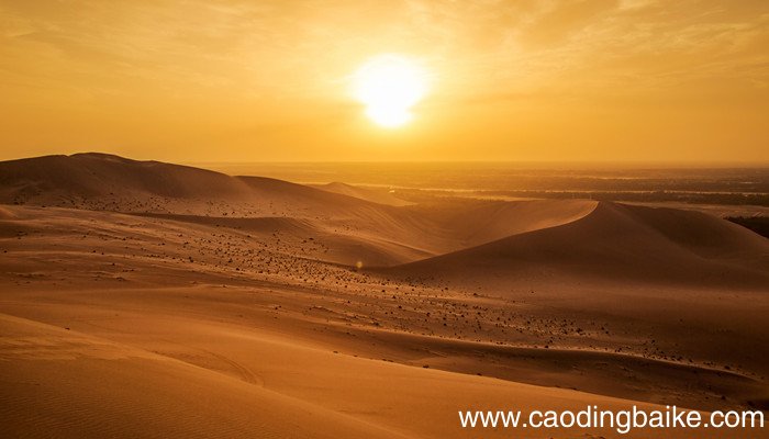 凉州词全诗的翻译 凉州词这首诗的简单翻译