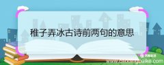 稚子弄冰古诗前两句的意思 稚子弄冰古诗前两句翻译