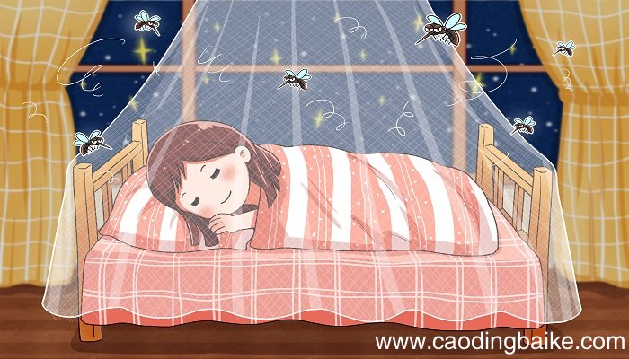 蚊子和狮子翻译 蚊子和狮子翻译译文