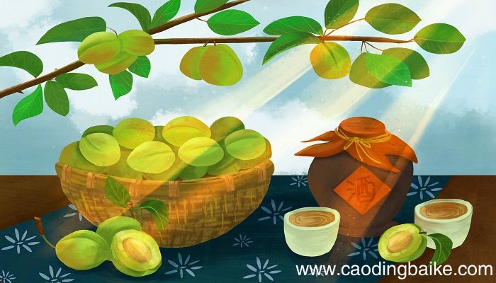 关于夏天的短句子描写夏天的简单短句