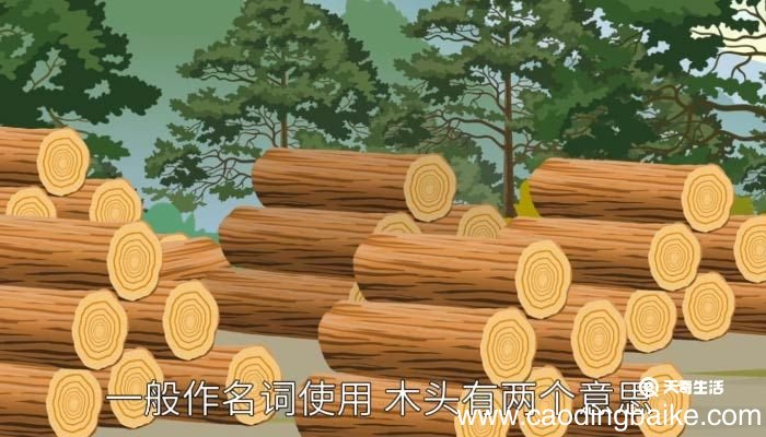 木头的意思 木头的意思英语怎么说