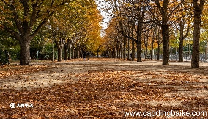 秋分的诗句 秋分的诗句有哪些