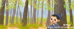 有志者事竟成告诉我们什么道理 有志者事竟成一句告诉我们