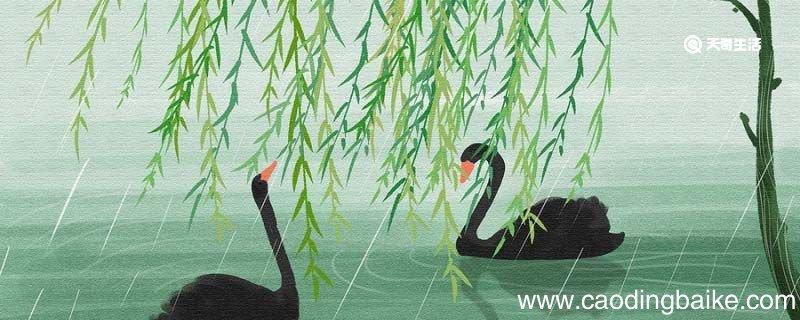 春江水暖鸭先知告诉我们的道理是什么 春江水暖鸭先知全诗
