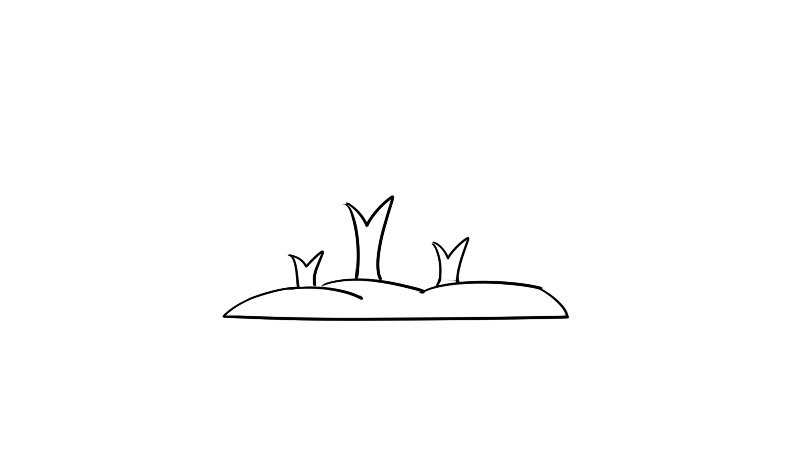 森林图片简笔画画法森林图片简笔画步骤