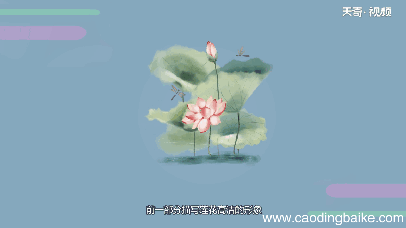 爱莲说原文朗读视频 爱莲说