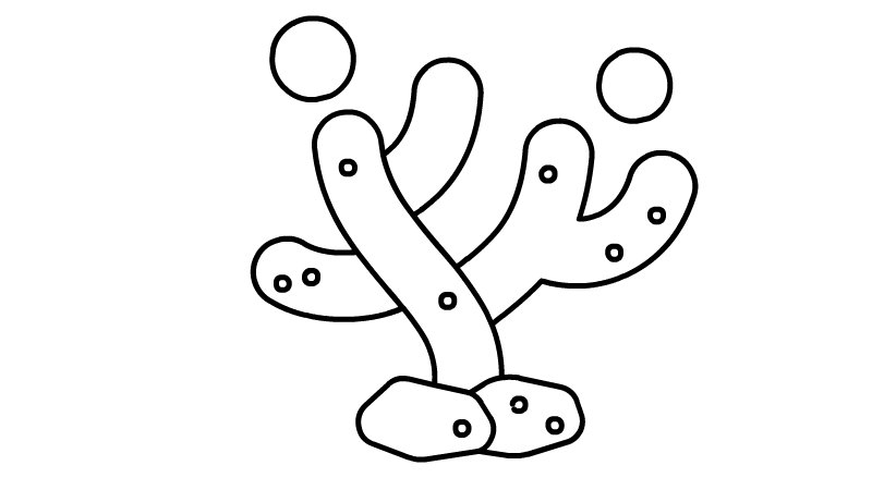 珊瑚简笔画画法珊瑚简笔画步骤
