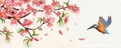 似曾相识燕归来表达什么情感 似曾相识燕归来的是什么意思