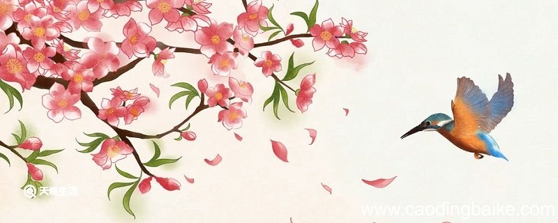 似曾相识燕归来表达什么情感 似曾相识燕归来的是什么意思