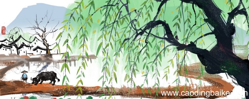 绝句前两句写了哪些景物 绝句的前两句写了什么景物