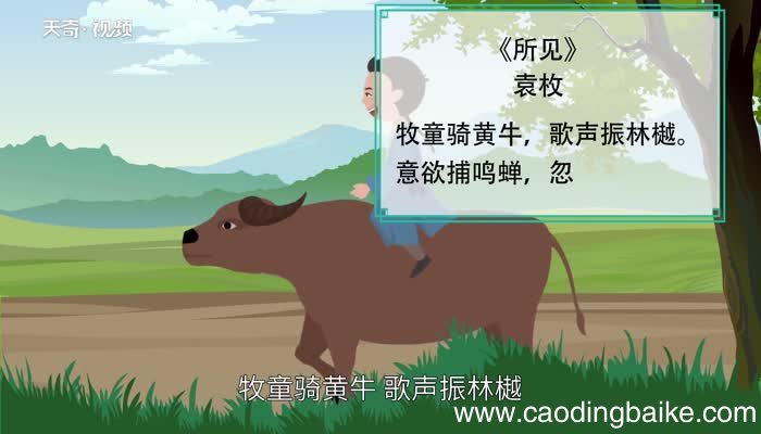 所见古诗的意思 所见古诗的意思是什么