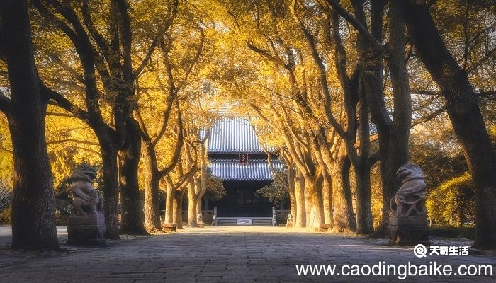 秋分诗句 秋分诗句古诗