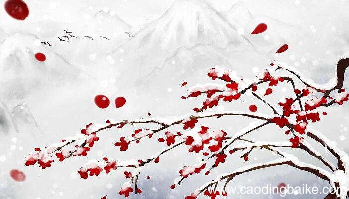 五年级下册梅花魂主要内容