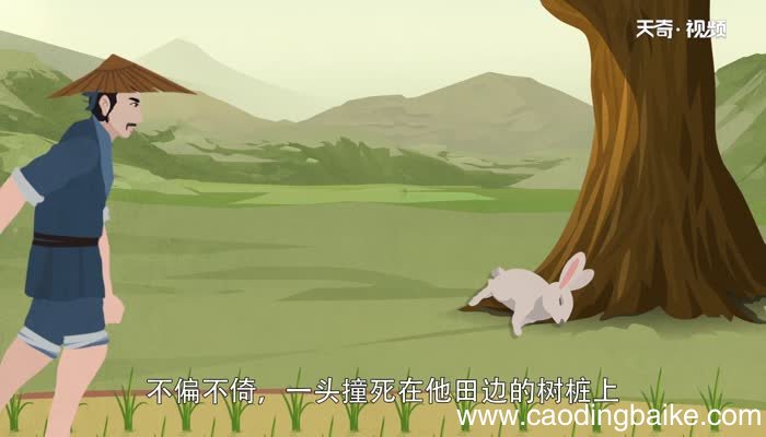 守株待兔的寓言故事守株待兔的故事