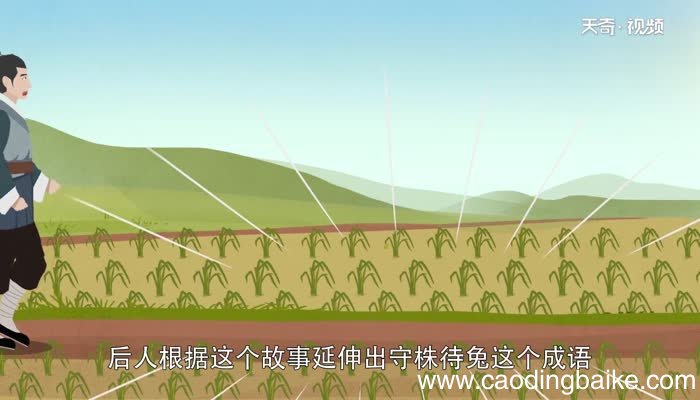 守株待兔的寓言故事守株待兔的故事