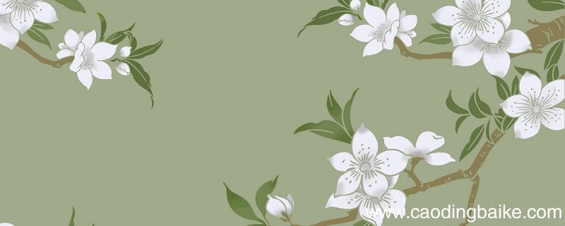 驿路梨花中梨花出现了几次有什么含义 驿路梨花描写了什么