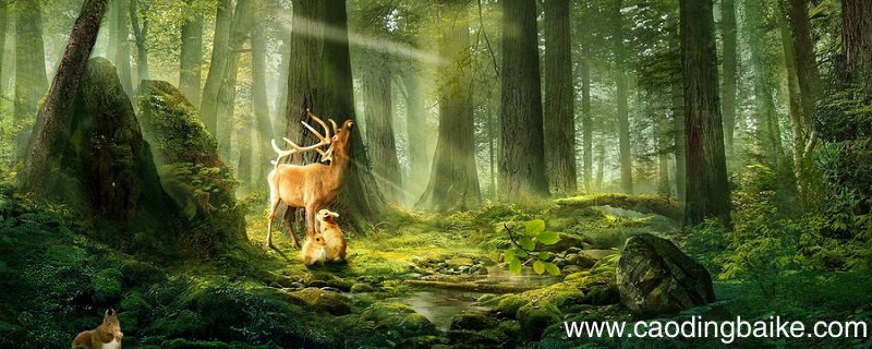 临江之麋的道理 临江之麋的道理是什么