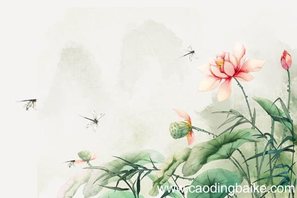 古诗《小池》带拼音 小池古诗才露的读音
