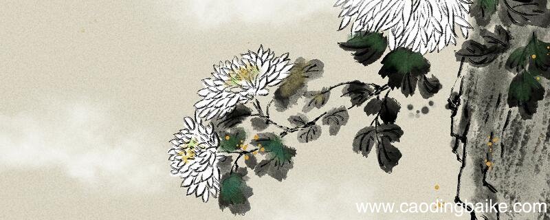 菊残犹有傲霜枝写出菊花的什么 菊残犹有傲霜枝赞美了什么
