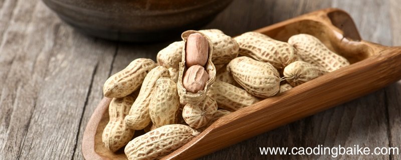 落花生用了什么写作手法 落花生告诉了我们什么道理