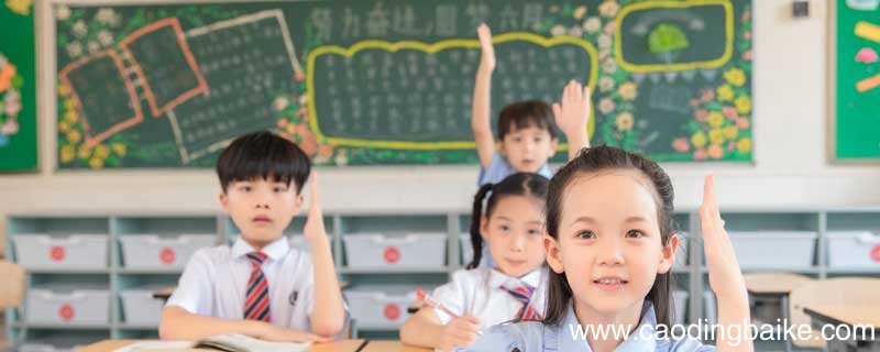 肚子里有个火车站读后感 肚子里有个火车站读后感是什么