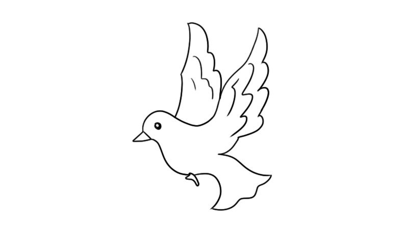 白鸽简笔画三步完成