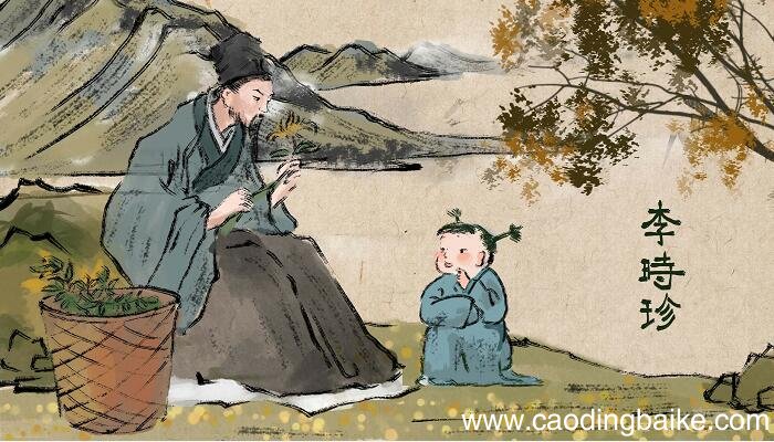 编写本草纲目的医药学家是谁 本草纲目是谁写的