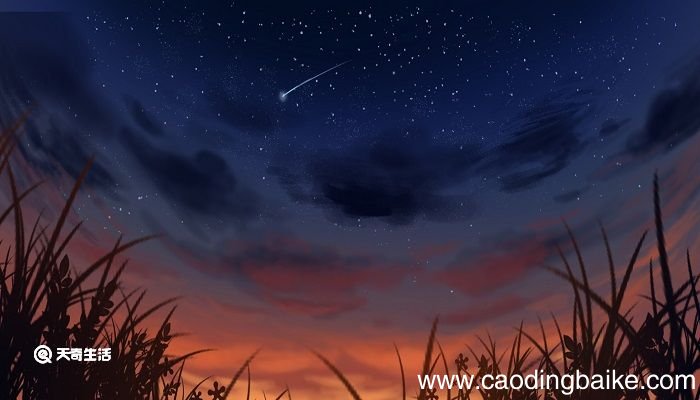 夏夜追凉古诗翻译 夏夜追凉翻译及赏析