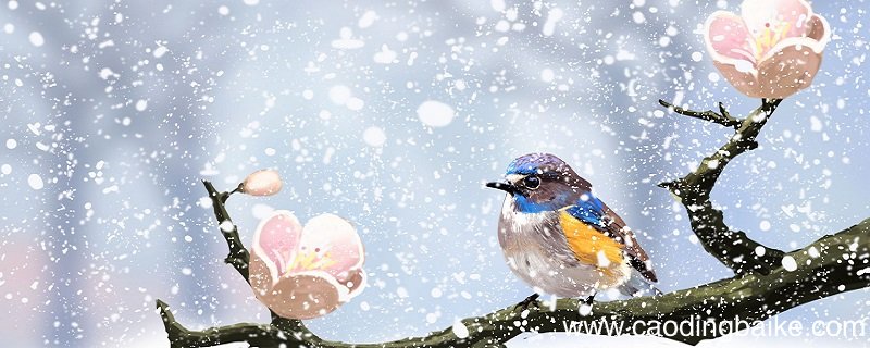 春雪古诗带拼音 韩愈春雪诗带拼音版