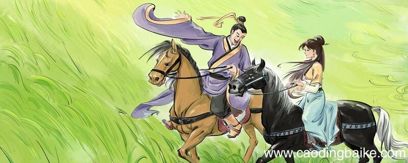 哥舒歌的翻译 哥舒歌这首诗是什么意思