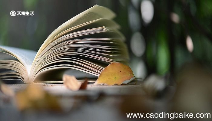 杨绛老王主要内容概括 杨绛老王主要内容
