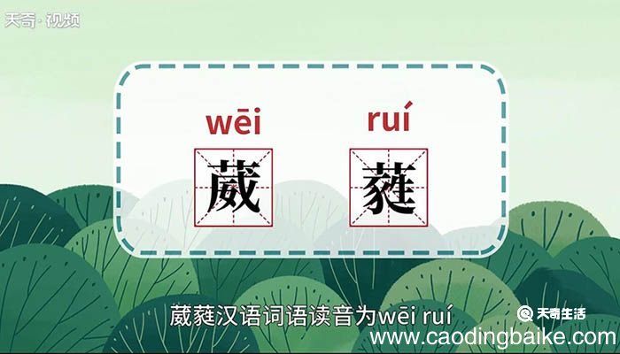 葳蕤的意思 葳蕤什么意思