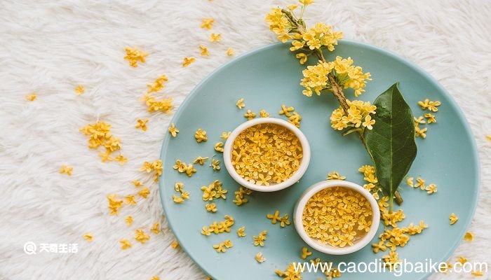鹧鸪天桂花翻译赏析 鹧鸪天桂花的手法