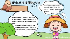爱鸟手抄报,爱鸟手抄报画法