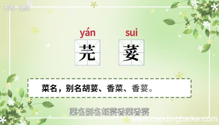 芫荽的意思 芫荽什么意思