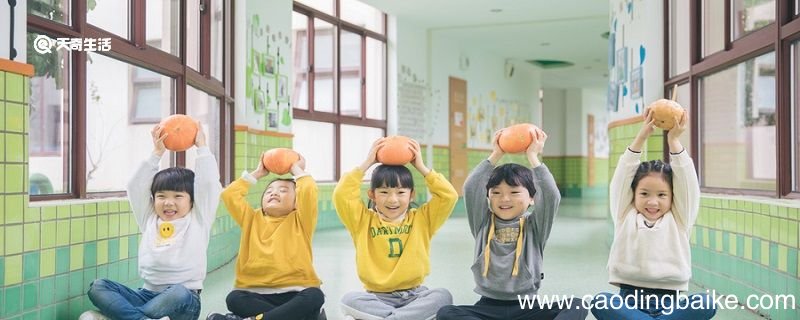 幼儿园教育的特点是什么 幼儿教育特点包括什么