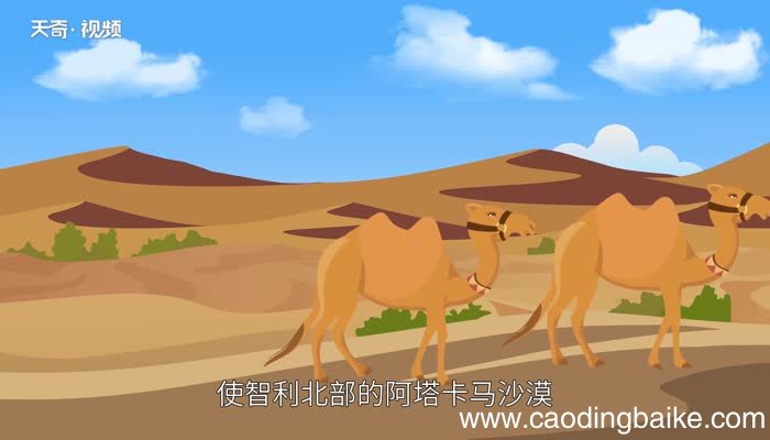 秘鲁寒流属于什么流秘鲁寒流的成因是什么