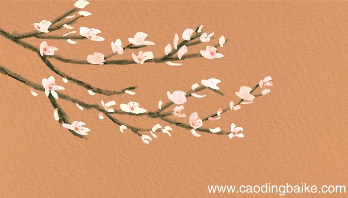 秋思的诗意 秋思的诗意是什么