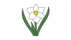 水仙花简笔画教程水仙花简笔画画法