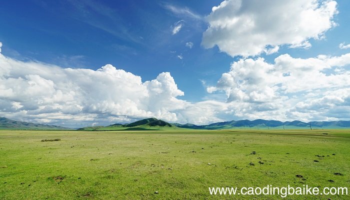 卧唱敖包待月明的上一句 卧唱敖包待月明的上一句是什么