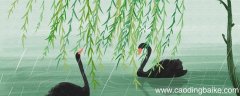 种植春天告诉了我们什么道理 种植春天全文