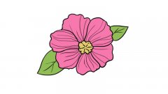 花瓣简笔画